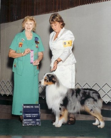 Sue Forbes Photo 4