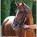 Michael Frankel Photo 25