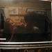 Joey Tuttle Photo 9