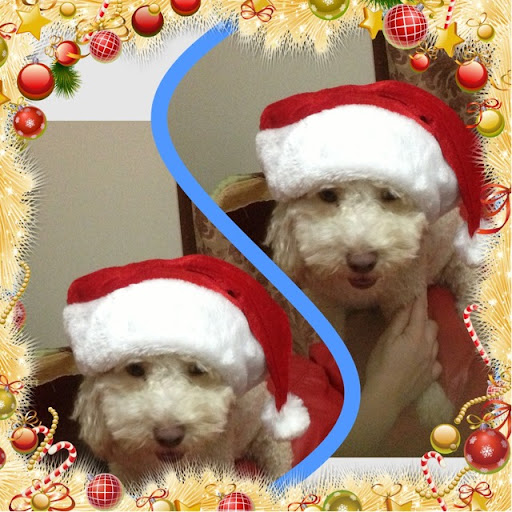 Willie Lo Photo 15