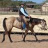 Bob Workman Photo 5