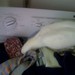 Patricia Burrow Photo 11