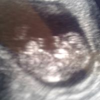 Melissa Midkiff Photo 3