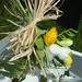 Allison Welsh Photo 18