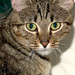Wilma Browning Photo 7