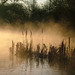 Misty Reed Photo 3