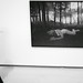 Alison Heffernan Photo 8