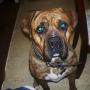 Robert Huber Photo 39