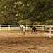 Crystal Briggs Photo 34
