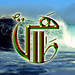 Mohammad Tahir Photo 28