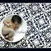 Kathryn Michael Photo 20