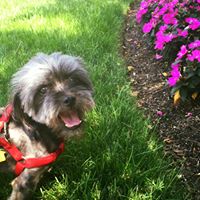 Mary Decarlo Photo 15