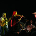 David Tull Photo 6