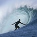 John Desilva Photo 16
