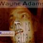 Wayne Adams Photo 29