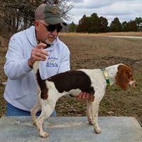 Mike Gaddy Photo 6
