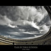 Jose Saavedra Photo 10