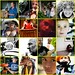 Jerry Garris Photo 8