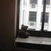 Cindy Cleveland Photo 25