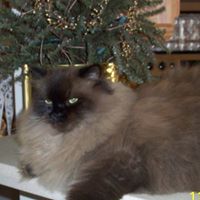 Terry Elkins Photo 24