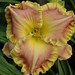 Gary Colby Photo 25