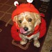 Marlene Thompson Photo 19