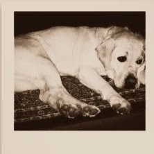 Emily Nissley Photo 3