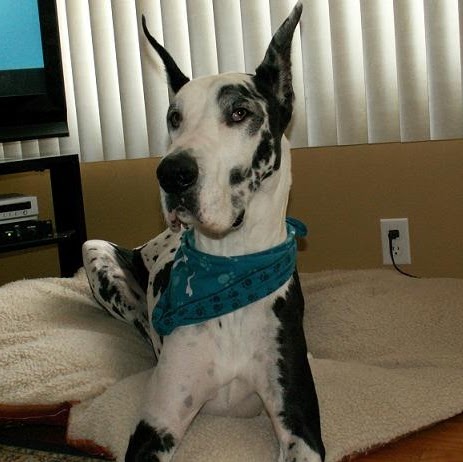 Terri Wolf Photo 9