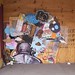 Chris Elston Photo 16