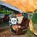 Jason Barnard Photo 40