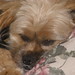 Ricky May Photo 38