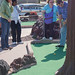 Cathy Williamson Photo 34