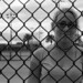 Christine Cummings Photo 21