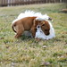 Angel Foster Photo 8