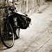 Robert Ocanas Photo 10
