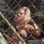 Jennifer Corry Photo 13
