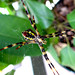 Andrew Cross Photo 37