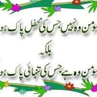 Muhammad Shakeel Photo 31