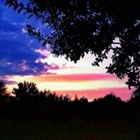 Cynthia Rogers Photo 18