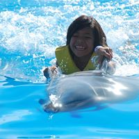 Thuy Ha Photo 26