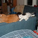 Fred Alexander Photo 36