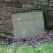 Deborah Dickinson Photo 11