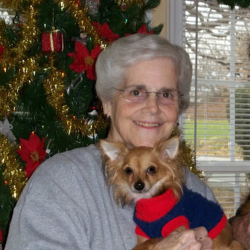 Judy Stephens Photo 43