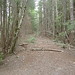 Annette West Photo 32