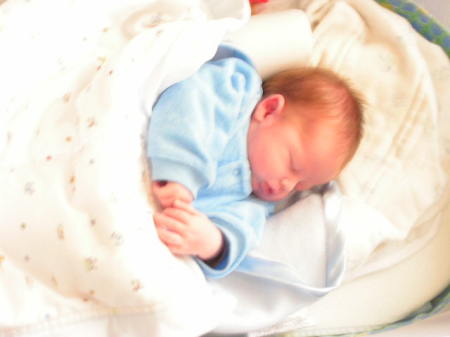 Brenda Clarke Photo 25