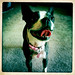 Amy Ponce Photo 3