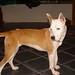 Tammy Foster Photo 12