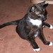 Nan Clarke Photo 12