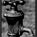 Robert Tinkle Photo 4