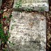 Tabitha Stone Photo 23